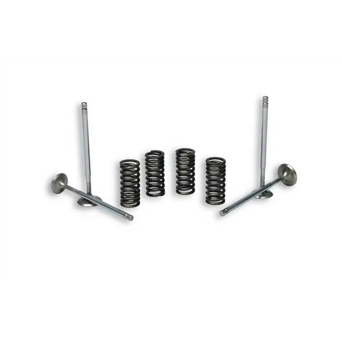 Malossi 4 Stroke Valve con Molle per Testa Originale