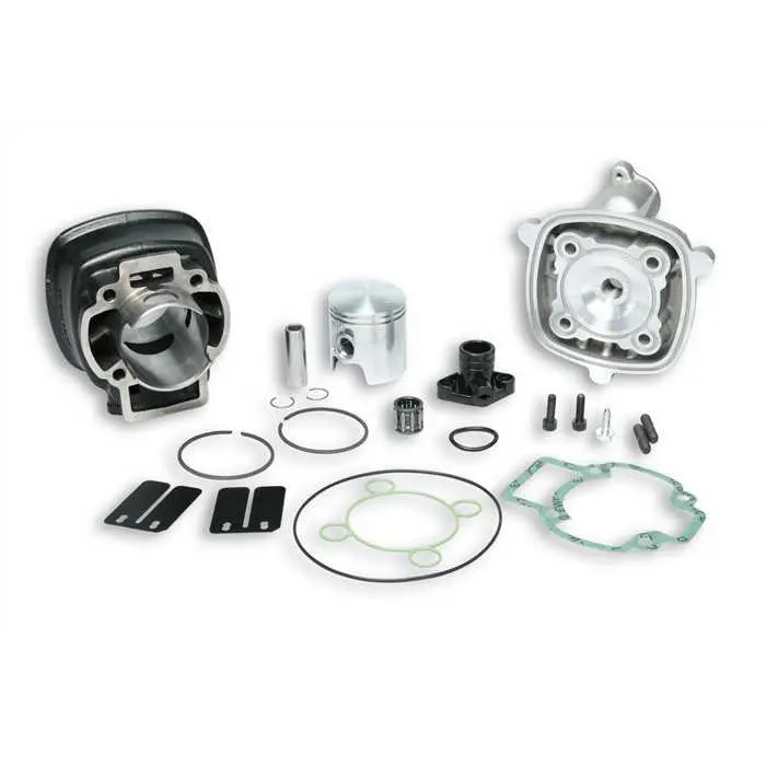Thermostat MALOSSI Ø 47 fonte spéciale Ø 12 H2O