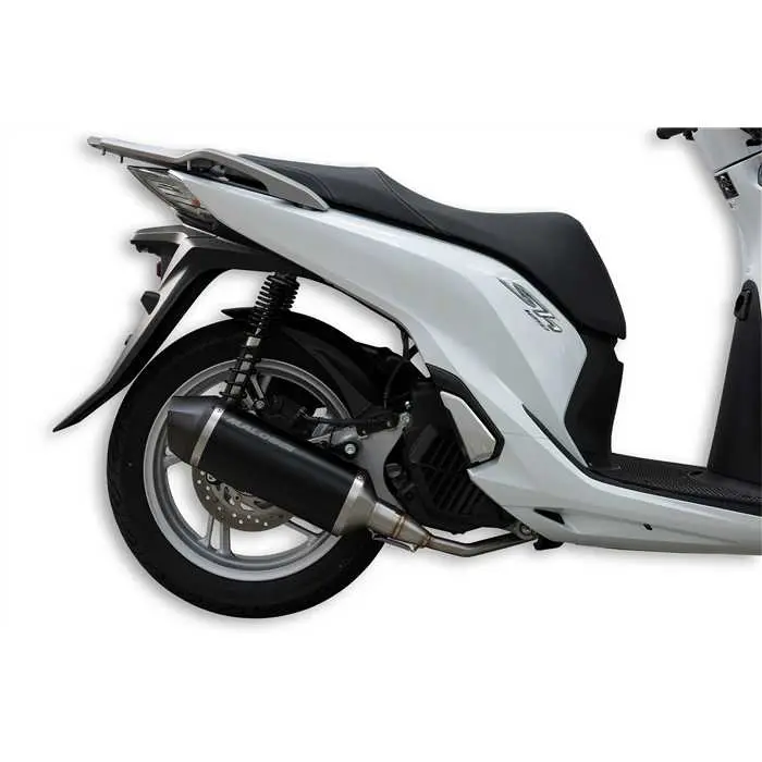 Silencieux MALOSSI RX Black