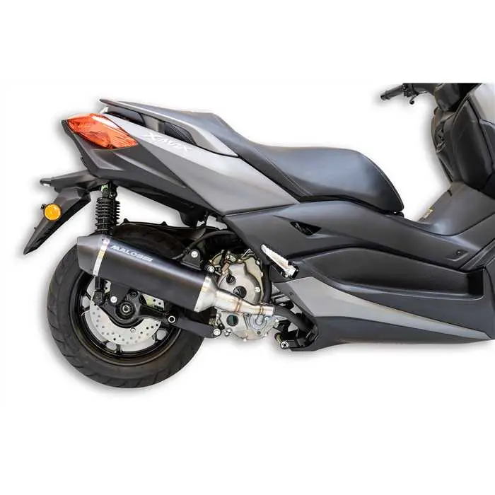 Silencieux MALOSSI RX Black
