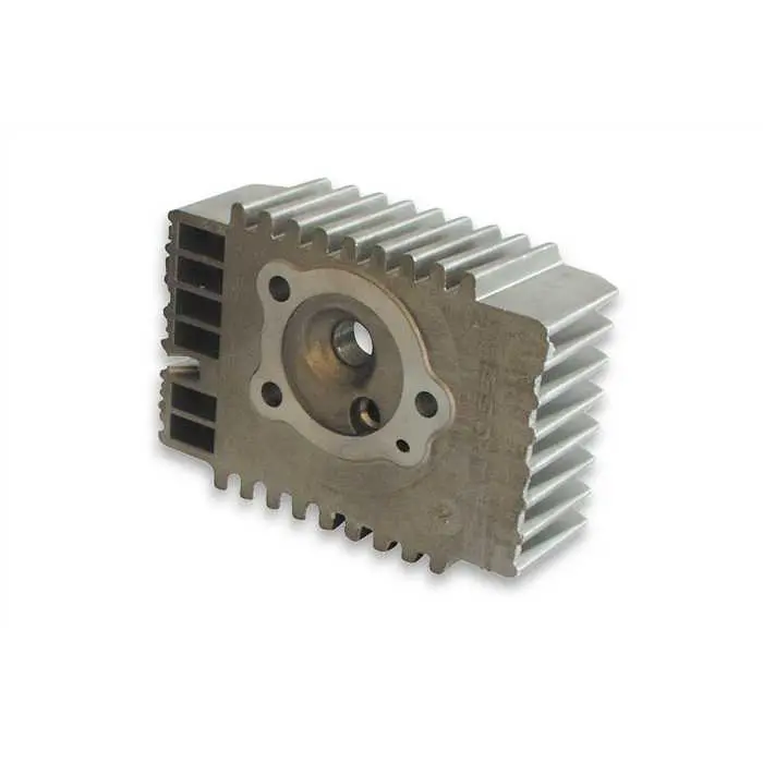 Testa ø 41-43 radiale p.bravo-s.bravo-boss-grillo-si