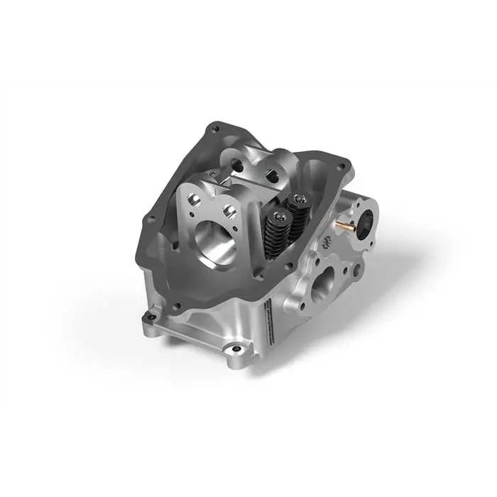 MALOSSI Testa V4 Alumiinium H2O Maxi 200>300 pea Ø 74-75,5