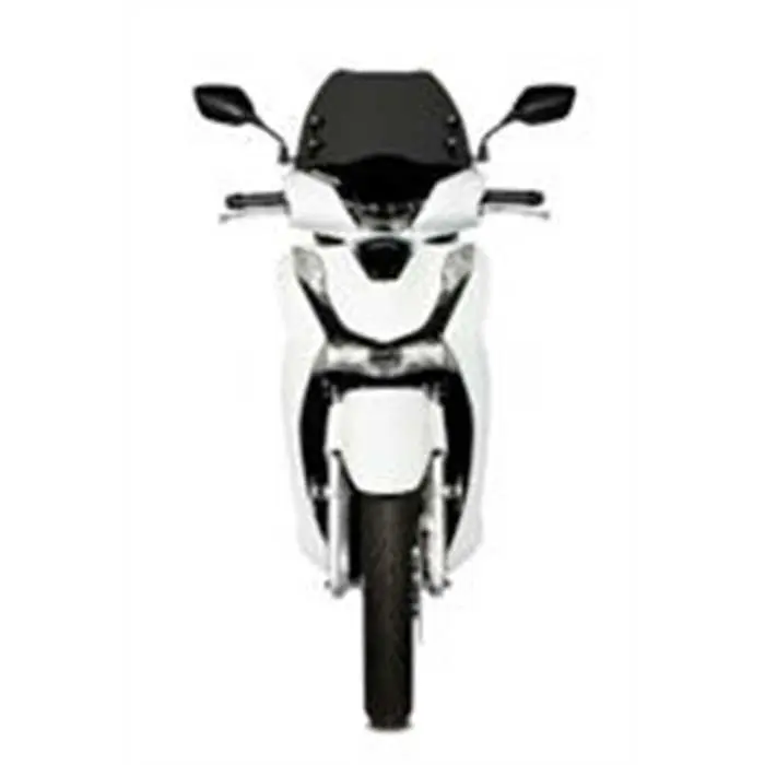 スポーツスクリーン バブル ティンテッド MALOSSI