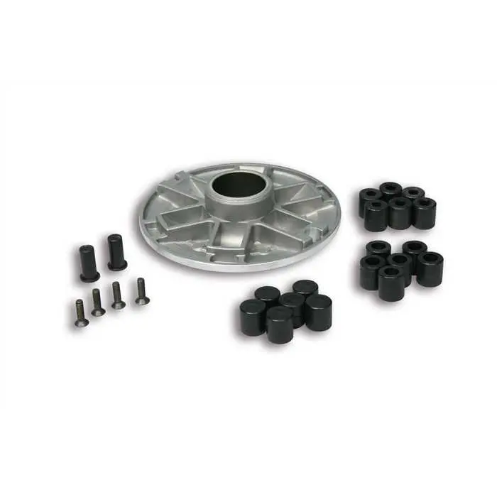 Complessivo Var Plus MALOSSI pour MBK