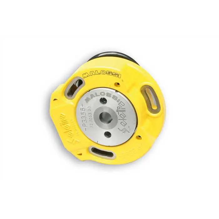 Stator/Rotor-Satz Moto 50 MALOSSI