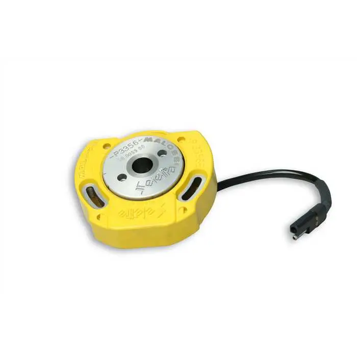 Stator/rotor set Pit Bike - Mini GP 4T MALOSSI