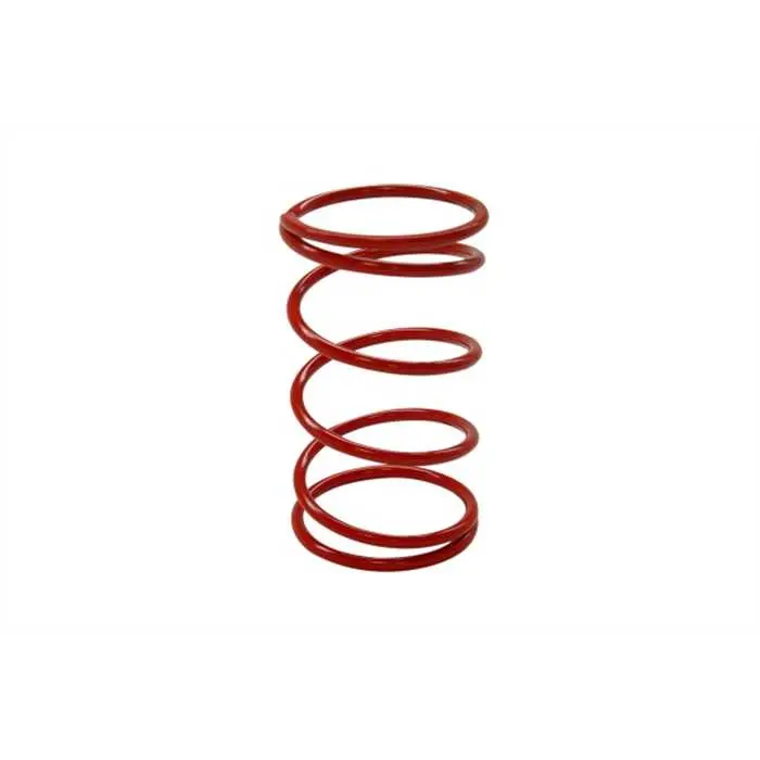 Top Racing Typhon/Buxy +22% 클러치 스프링
