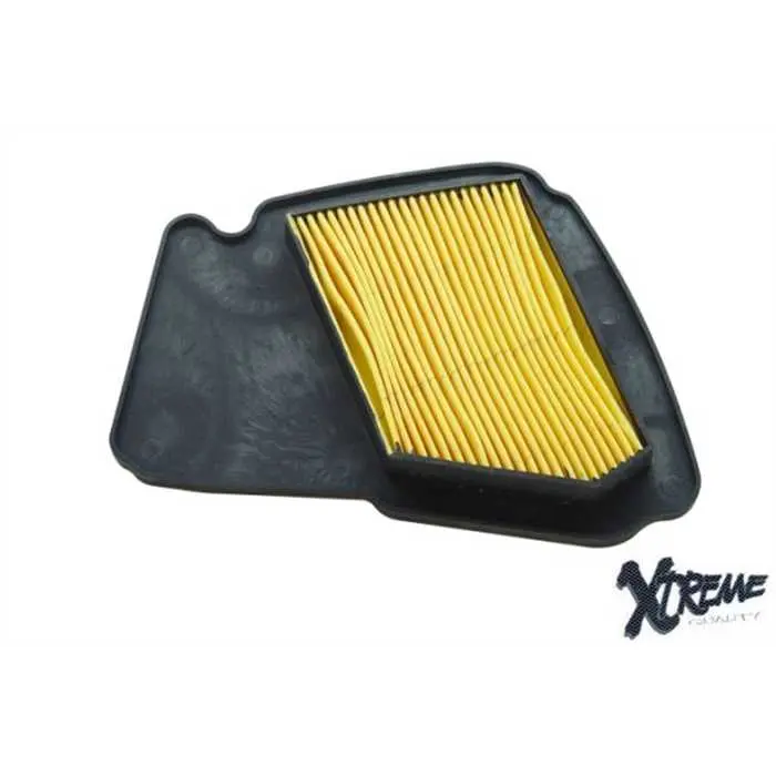 Luftfilter Neo's/Ovetto 4T