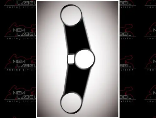 Protection té de fourche Brazoline Honda CBR 600 RR 05/06