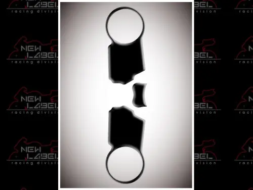 Protection té de fourche Brazoline Honda CBR 1000 04-06