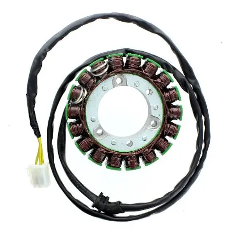 Startergenerator passend TRIUMPH 2 Zylinder EFI ELECTROSPORT