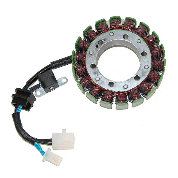 Adaptierbarer Lichtmaschine Suzuki Electrosport