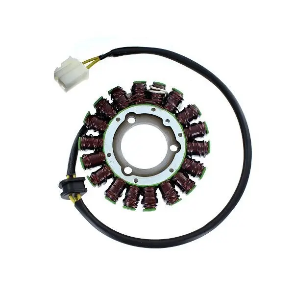 Adaptierbarer Lichtmaschine Original SUZUKI ELECTROSPORT