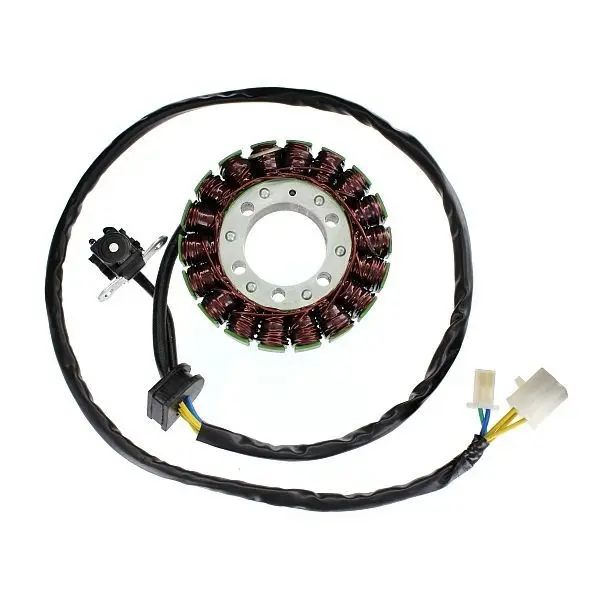 Anbaubarer Lichtmaschine Original SUZUKI ELECTROSPORT