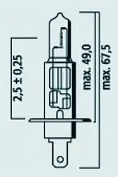 Glühlampe H1 12V 55W P14.5S Brazoline