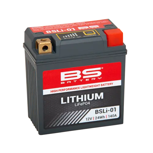 BS BATTERY لیتھیم LiFePO4 بیٹری