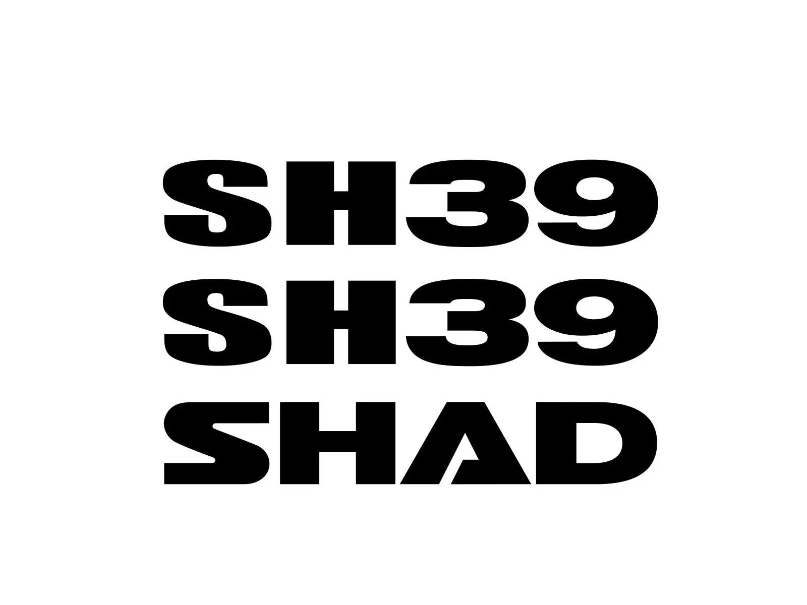 SHAD SH39 2013 스페어 파트 스티커