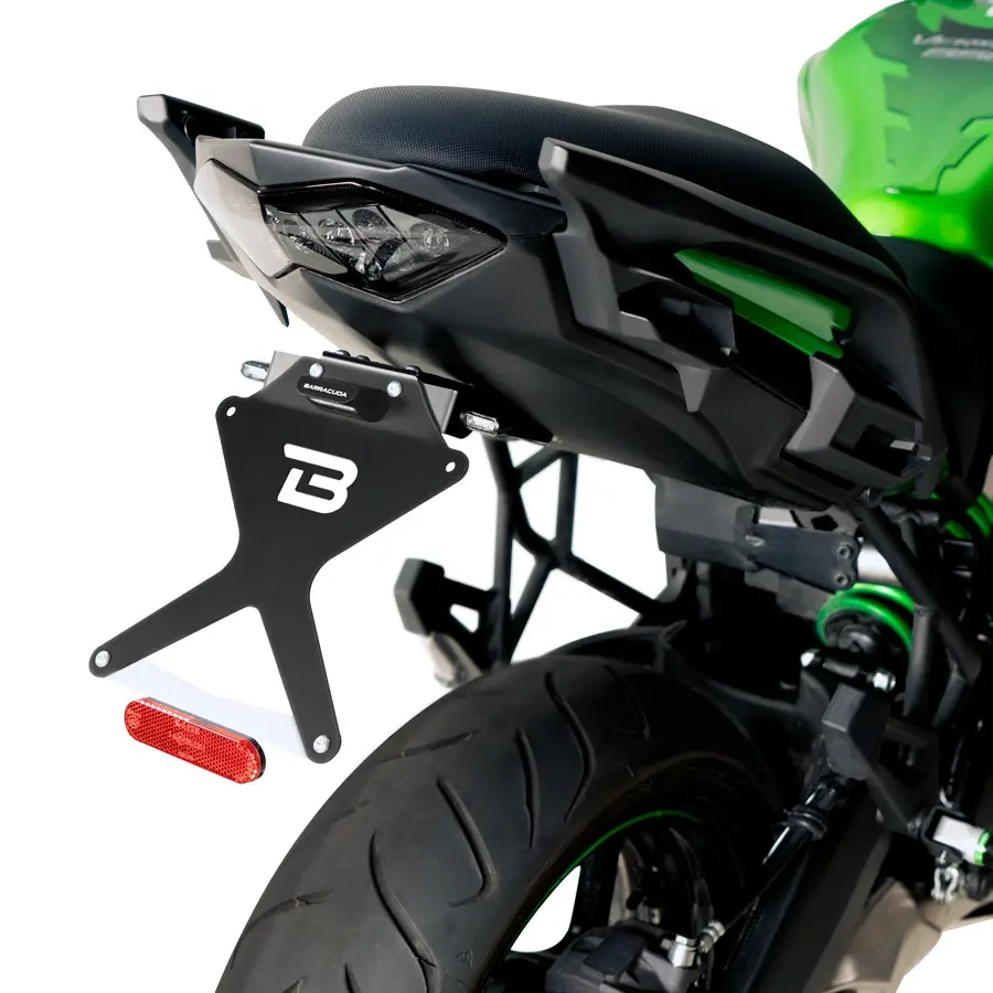 Kennzeichenhalter BARRACUDA Kawasaki Versys 650