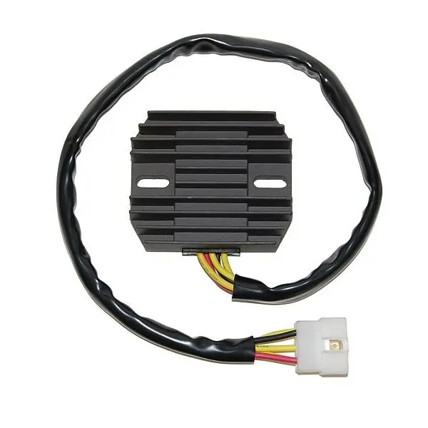 قابل تطبیق ریگولیٹر کاواساکی ELECTROSPORT