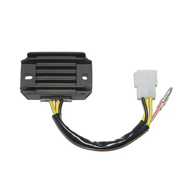 Prilagodljivi regulator Electrosport Kawasaki