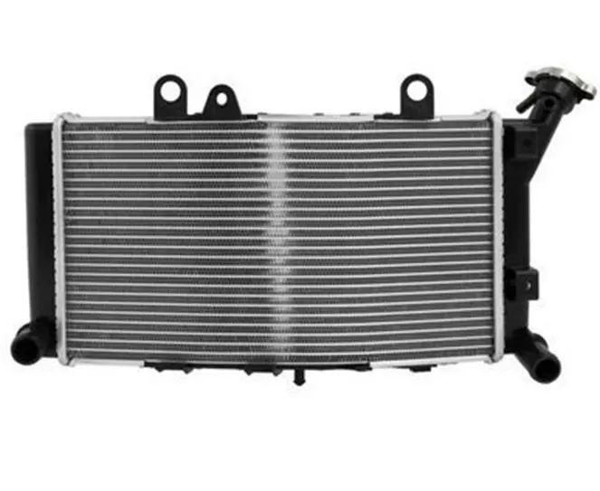 জল রেডিয়েটার BRAZOLINE BMW F ৮৫০ GS (২০১৯-২০২৩)