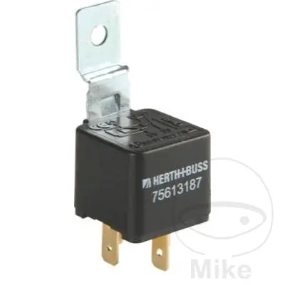 ハース&バス 12V ミニリレー