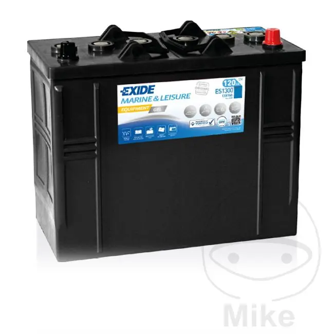 Exide 저방전 12V 120Ah 젤 배터리