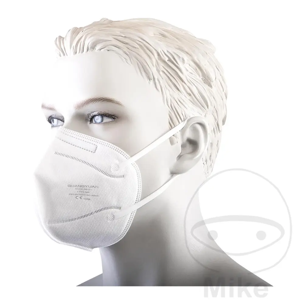Feinstaub-Filtrierende Halbmaske FFP2 INTERN Packung mit 10 Stück