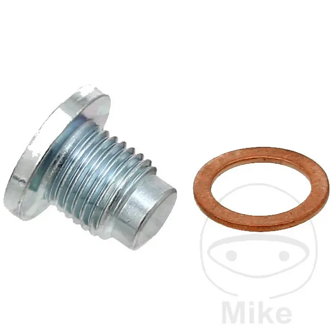 Vis de vidange carter d'huile avec joint Elring