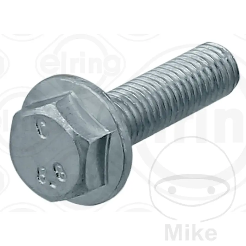 ایلرنگ گیلیوانائزڈ اسٹیل بولٹ M8X1.25X30