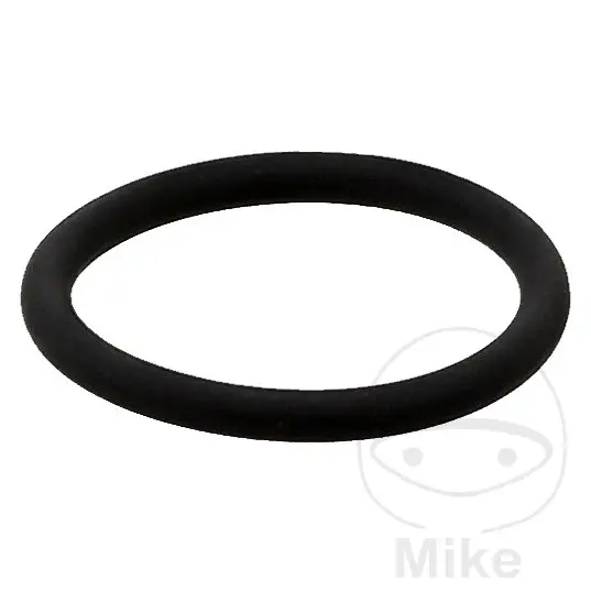 Těsnění O-Ring potrubí ventilu EGR 24.6x3.6 Elring
