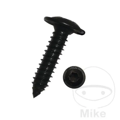 Dresselhaus ワッシャーヘッド TORX 3.9X19 黒色亜鉛メッキ 2A ボルト