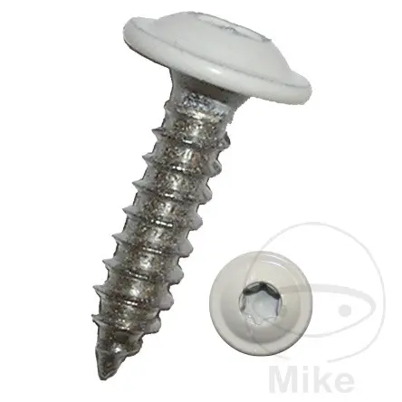 Vis tôle à collerette 4.8X16 Torx blanc A2 RAL9010 Dresselhaus