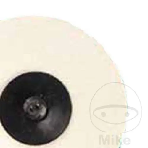 نارٹن اسپیڈلوک® اسپیشل TR 50 ملی میٹر فیٹ کلیننگ ڈسکس