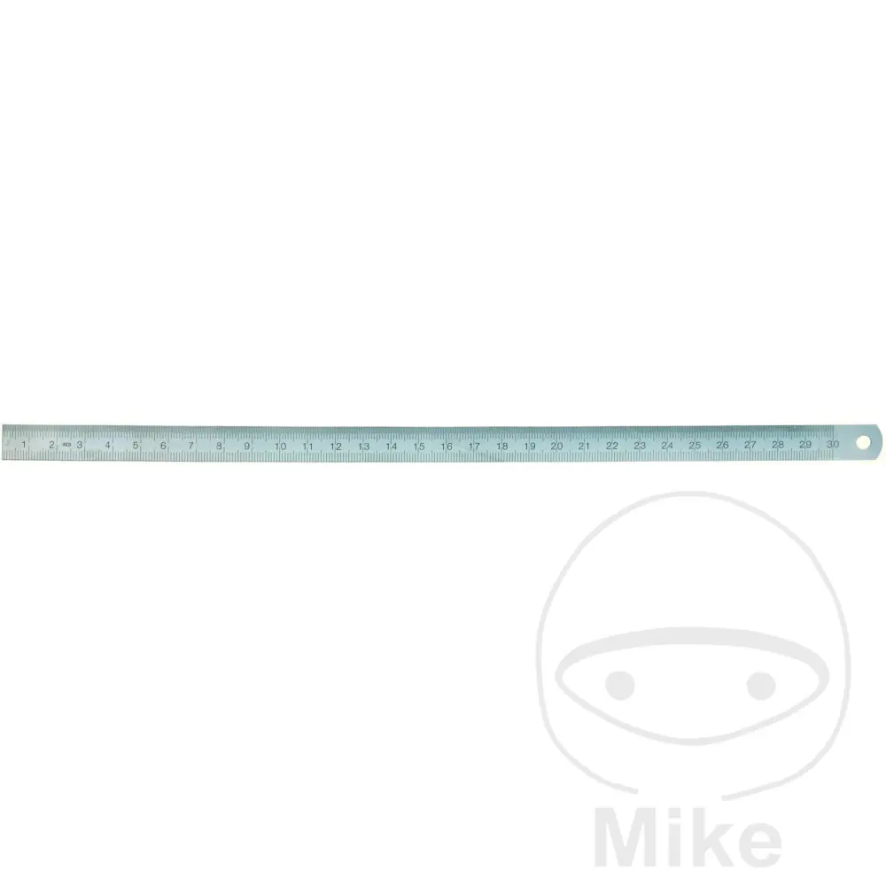 Lienemann Edelstahl-Schienen 300X13X0.5 FLEXIBLE