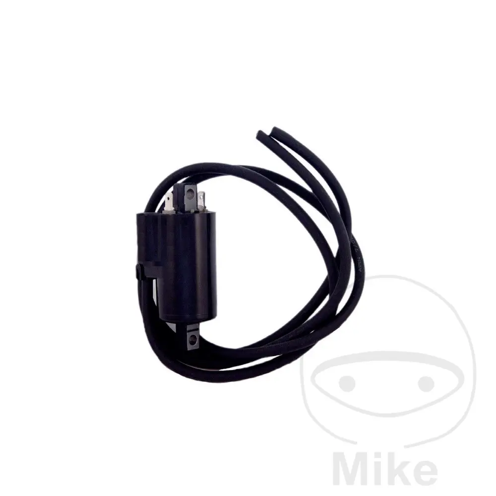 Koil pengapian 12V DZE