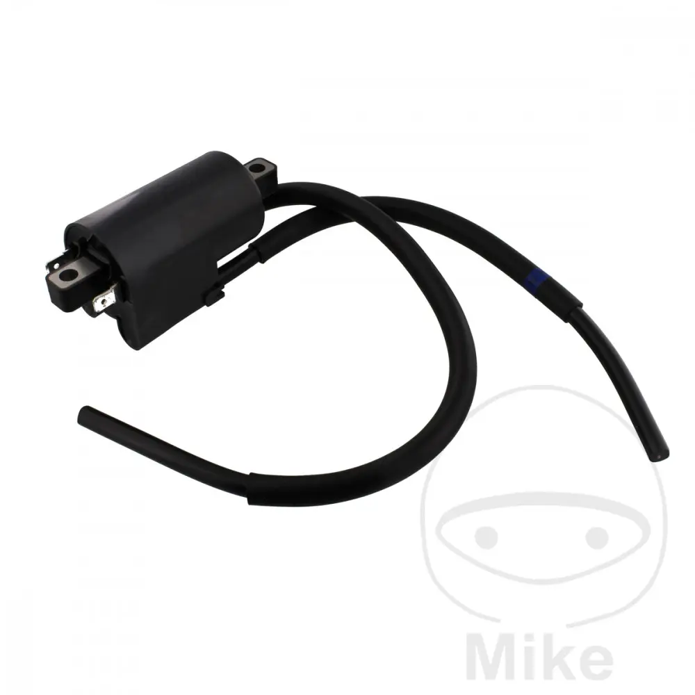 OEM আসল যন্ত্রাংশ ইগনিশন কয়েল