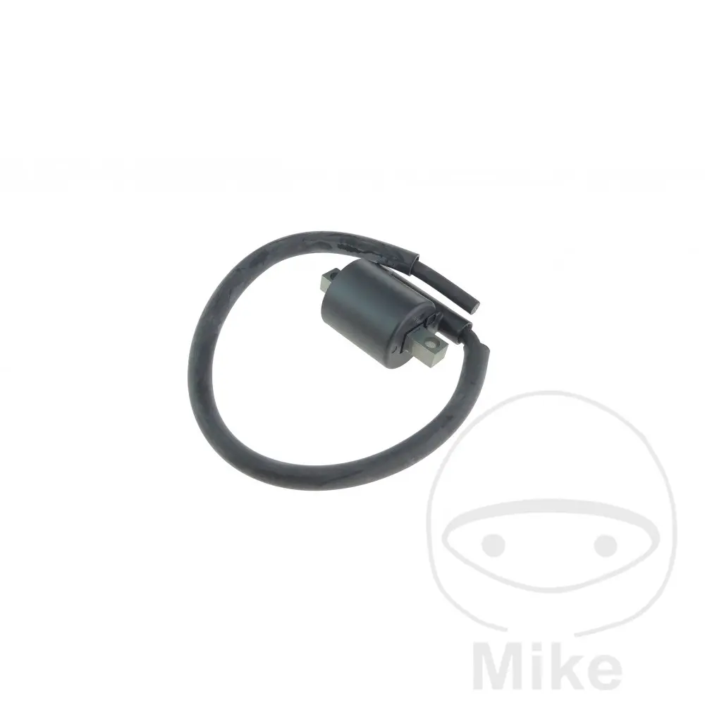 OEM 정품 점화 코일 7002839