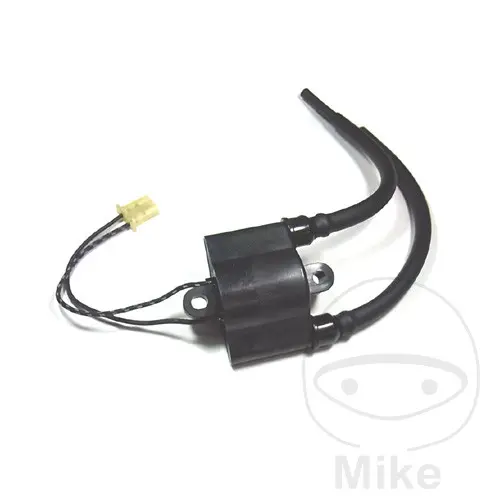 Tourmax 12V 점화 코일