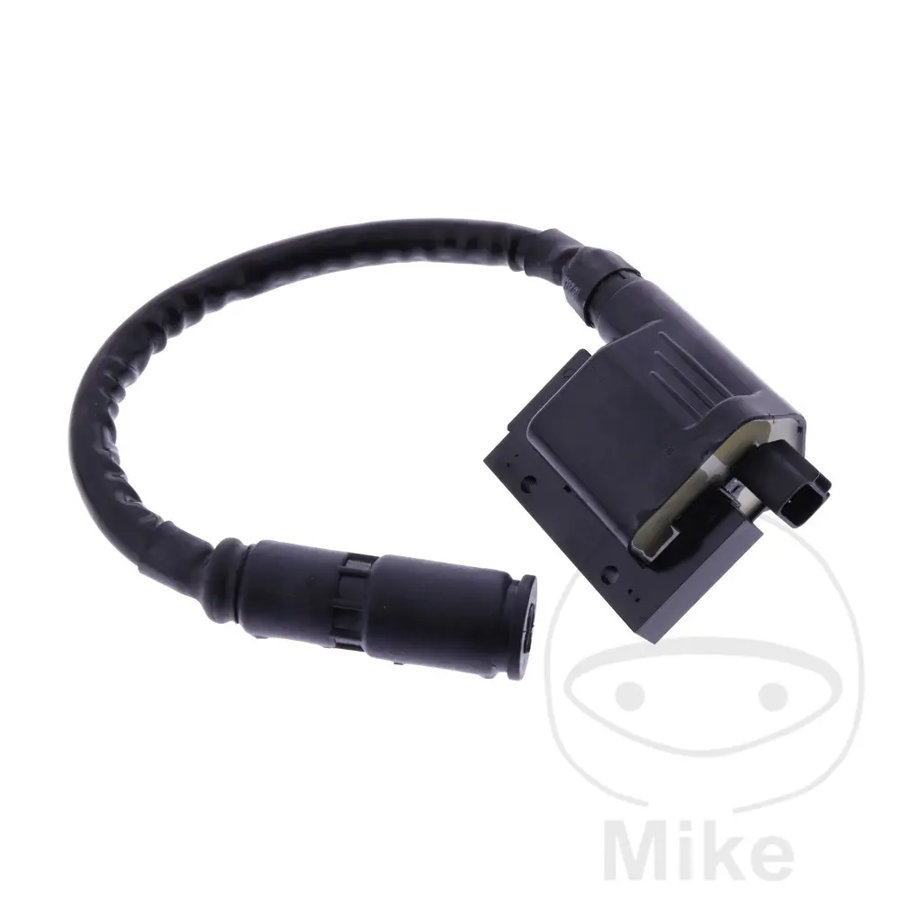 Bobine d'allumage RMS M Antiparasite Alternative 7002838