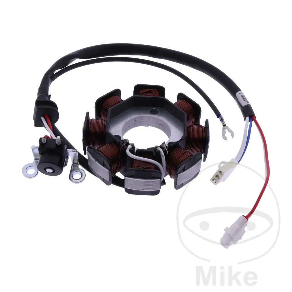 Generator stator DZE