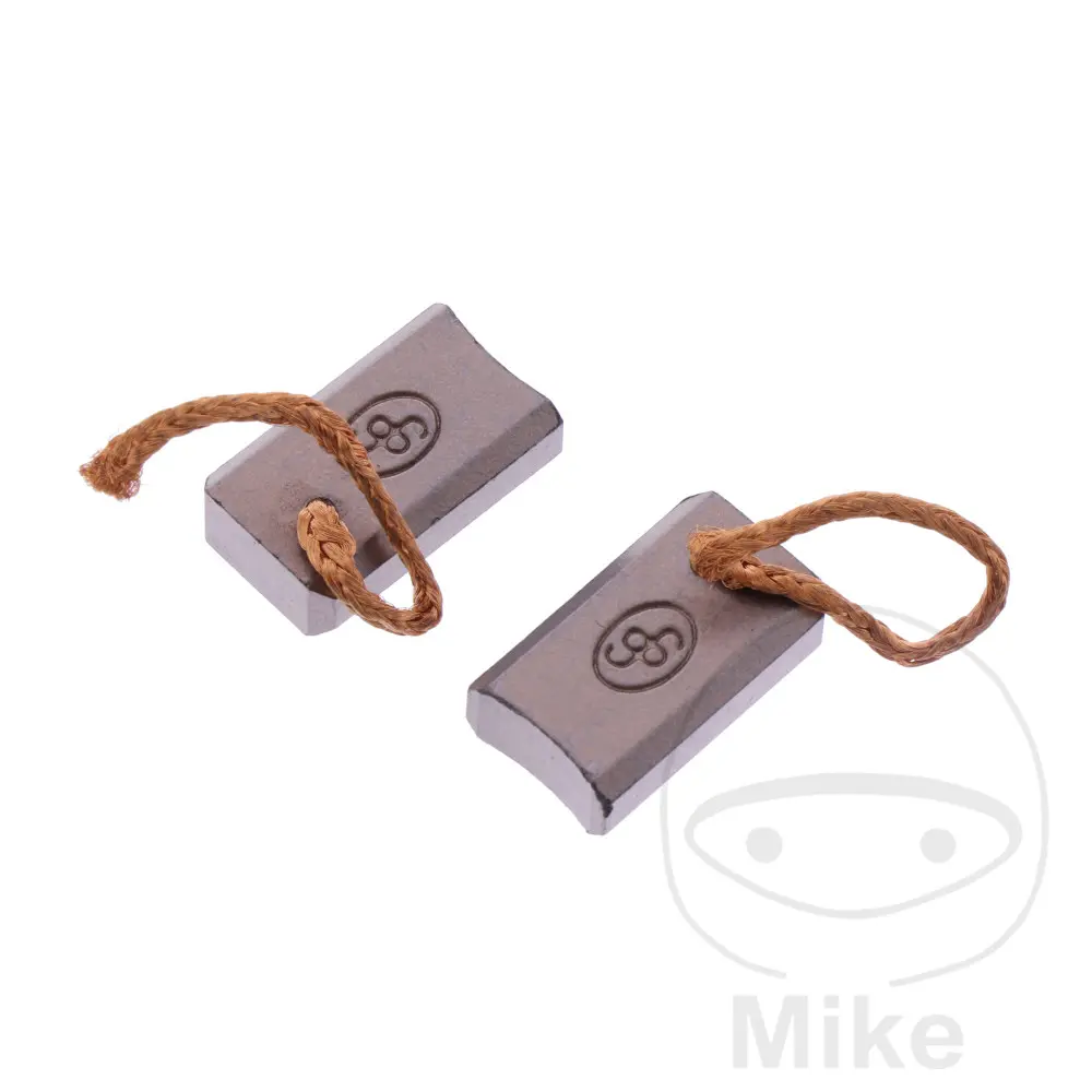 Kit Charbon Pièce d'origine OEM - 2 pièces