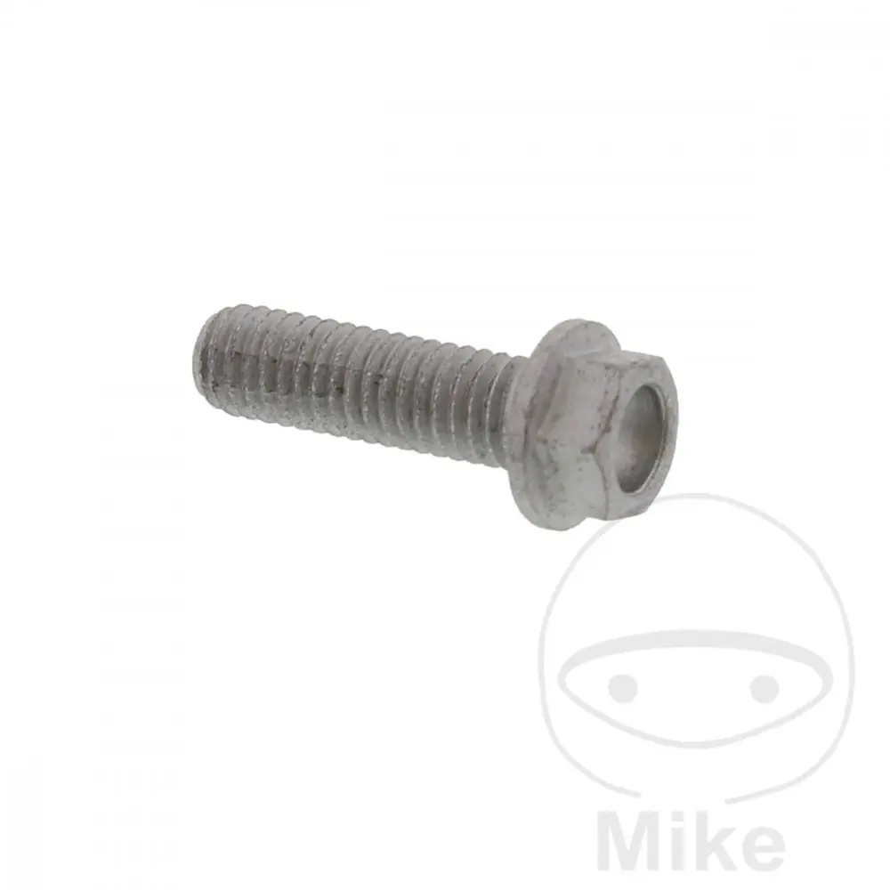 ブレーキディスクボルト M6X1.0X20 mm