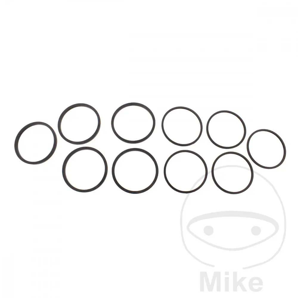 Dichtungssatz Tourmax BR SATT Kolben 10 Teile