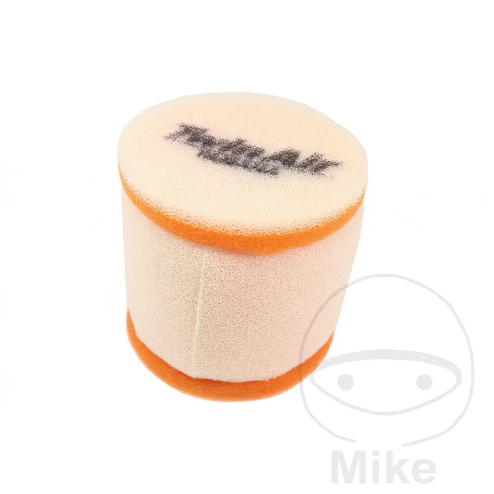 Filtre à air mousse Twin Air standard