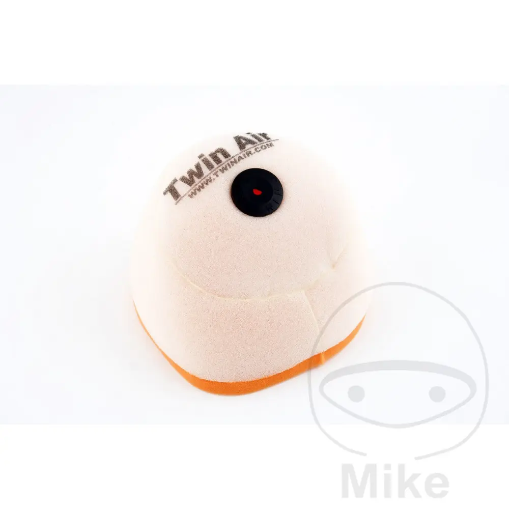 Filtre à air mousse Twin AIR 7238686
