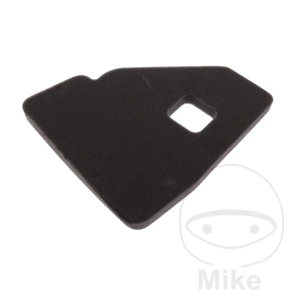 Genuine Air Filter Foam