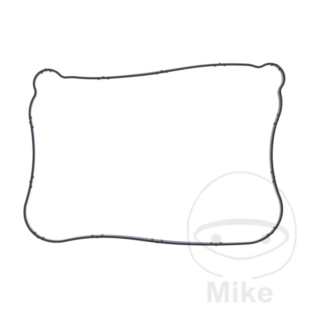 UT Valve Cover Gasket OEM Part