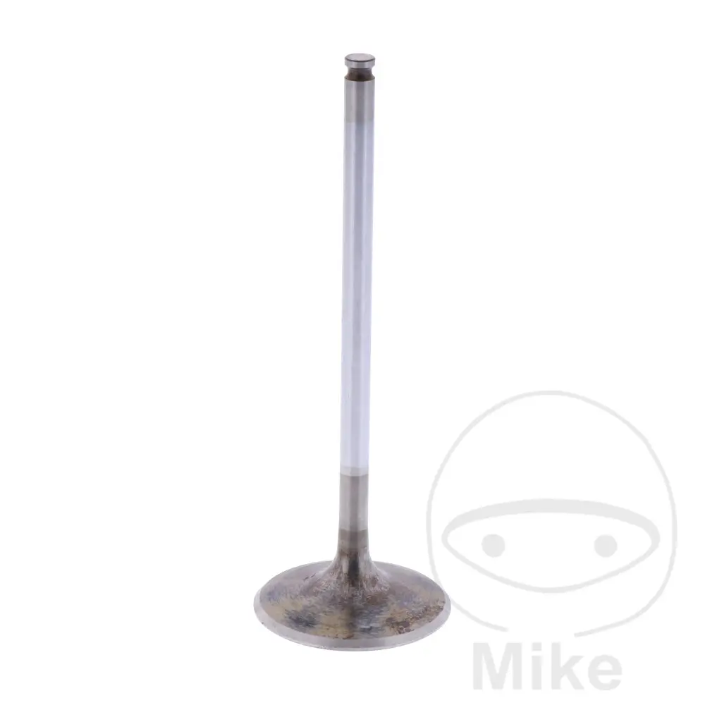 صمام دخول Vent Einlass - قطعة أصلية OEM