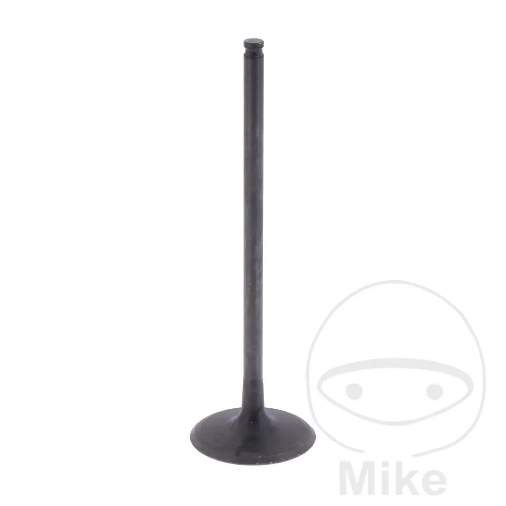 Vergaser-Ansaugstutzen - Original OEM-Teil